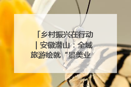 乡村振兴在行动｜安徽潜山：全域旅游绘就“景美业兴民富”新画卷