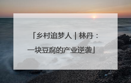 乡村追梦人｜林丹：一块豆腐的产业逆袭