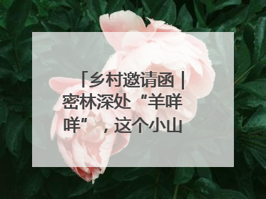 乡村邀请函｜密林深处“羊咩咩”，这个小山村如何逆袭？