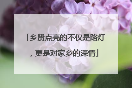 乡贤点亮的不仅是路灯，更是对家乡的深情
