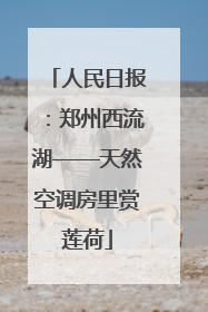 人民日报：郑州西流湖——天然空调房里赏莲荷
