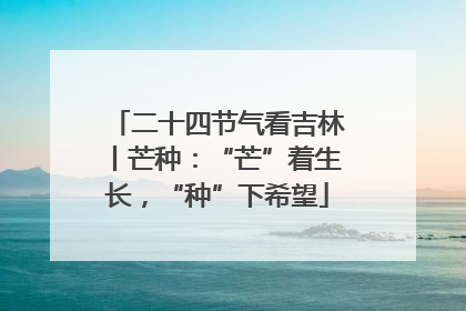 二十四节气看吉林丨芒种：“芒”着生长，“种”下希望