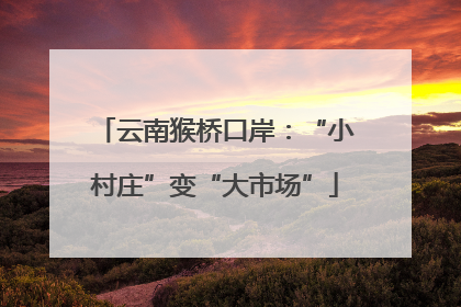 云南猴桥口岸：“小村庄”变“大市场”