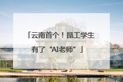 云南首个！昆工学生有了“AI老师”