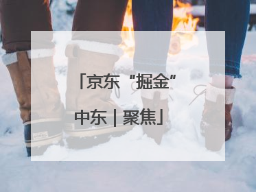 京东“掘金”中东｜聚焦