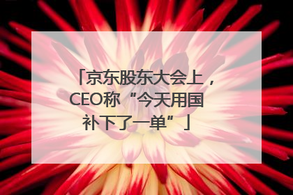京东股东大会上，CEO称“今天用国补下了一单”