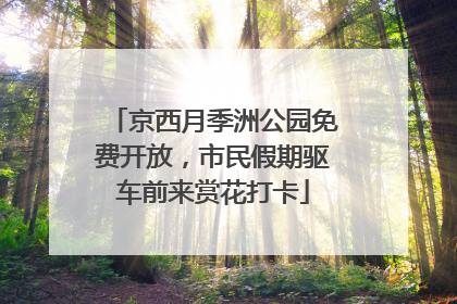 京西月季洲公园免费开放，市民假期驱车前来赏花打卡