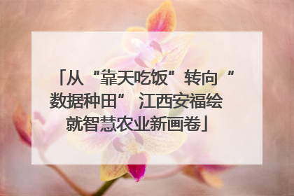 从“靠天吃饭”转向“数据种田” 江西安福绘就智慧农业新画卷