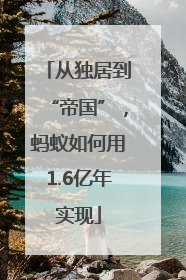 从独居到“帝国”，蚂蚁如何用1.6亿年实现