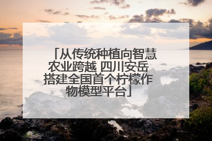 从传统种植向智慧农业跨越 四川安岳搭建全国首个柠檬作物模型平台