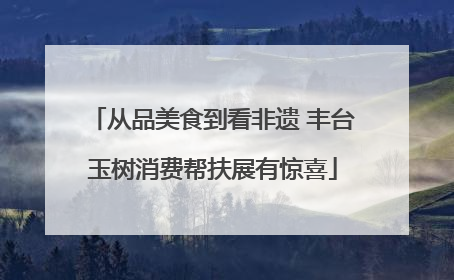 从品美食到看非遗 丰台玉树消费帮扶展有惊喜