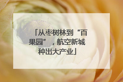 从枣树林到“百果园”，航空新城种出大产业