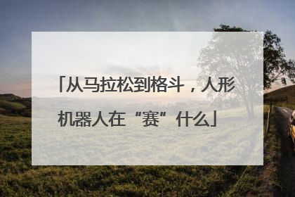 从马拉松到格斗，人形机器人在“赛”什么