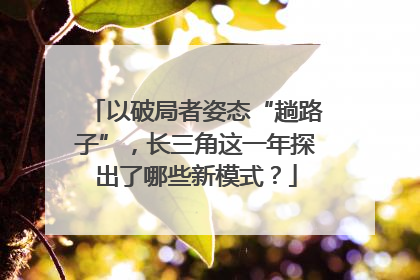 以破局者姿态“趟路子”，长三角这一年探出了哪些新模式？