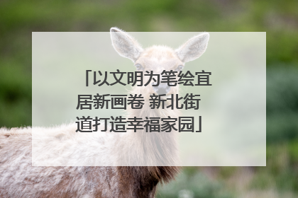 以文明为笔绘宜居新画卷 新北街道打造幸福家园