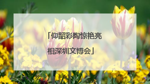 仰韶彩陶惊艳亮相深圳文博会
