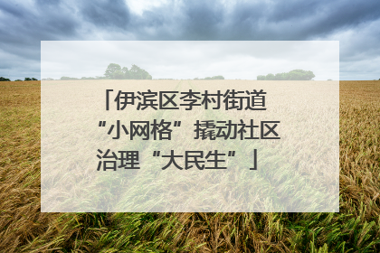 伊滨区李村街道 “小网格”撬动社区治理“大民生”