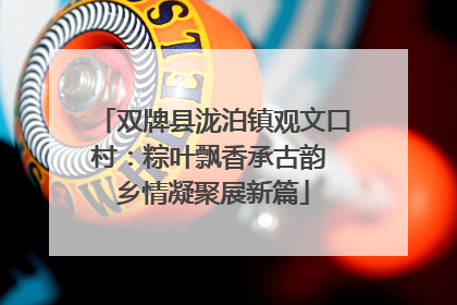 双牌县泷泊镇观文口村：粽叶飘香承古韵 乡情凝聚展新篇