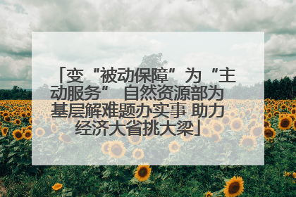 变“被动保障”为“主动服务” 自然资源部为基层解难题办实事 助力经济大省挑大梁