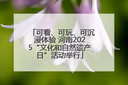 可看、可玩、可沉浸体验 河南2025“文化和自然遗产日”活动举行