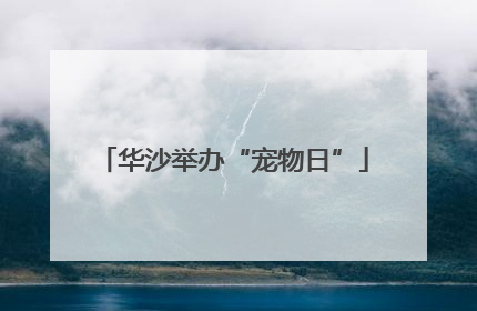 华沙举办“宠物日”
