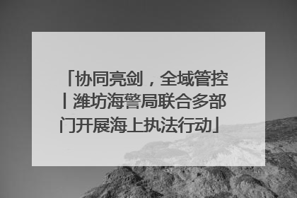 协同亮剑，全域管控丨潍坊海警局联合多部门开展海上执法行动