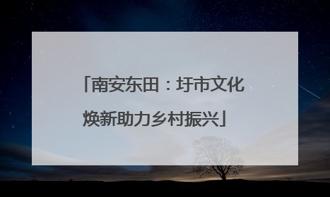 南安东田：圩市文化焕新助力乡村振兴