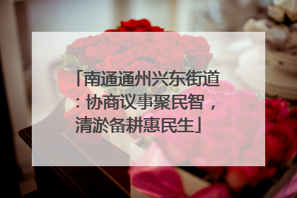 南通通州兴东街道：协商议事聚民智，清淤备耕惠民生