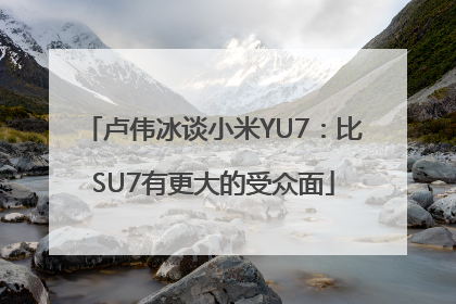 卢伟冰谈小米YU7：比SU7有更大的受众面