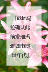危地马拉确认此前发现玛雅城市遗址年代