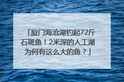 厦门海沧湖钓起72斤石斑鱼！2米深的人工湖为何有这么大的鱼？