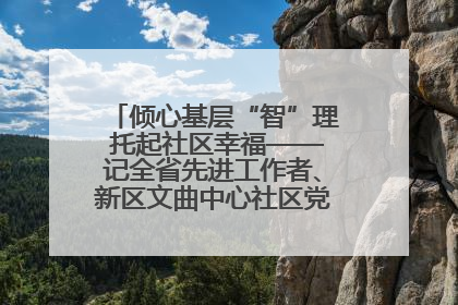 倾心基层“智”理 托起社区幸福——记全省先进工作者、新区文曲中心社区党委书记董世弘