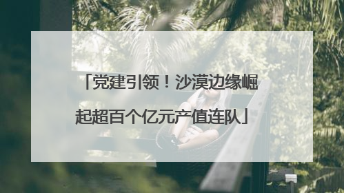 党建引领！沙漠边缘崛起超百个亿元产值连队