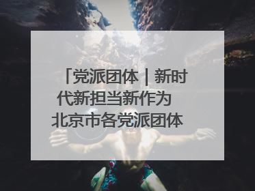 党派团体｜新时代新担当新作为 北京市各党派团体这么干！