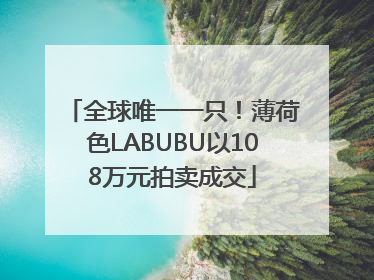 全球唯一一只！薄荷色LABUBU以108万元拍卖成交