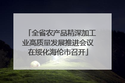 全省农产品精深加工业高质量发展推进会议在绥化海伦市召开