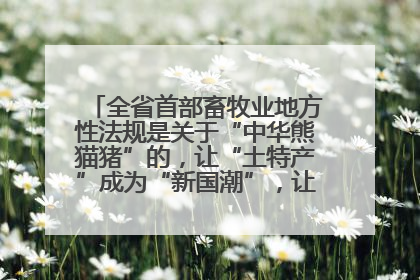 全省首部畜牧业地方性法规是关于“中华熊猫猪”的，让“土特产”成为“新国潮”，让“农产品”升格为“城市IP”