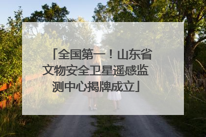 全国第一！山东省文物安全卫星遥感监测中心揭牌成立