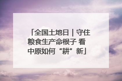 全国土地日｜守住粮食生产命根子 看中原如何“耕”新