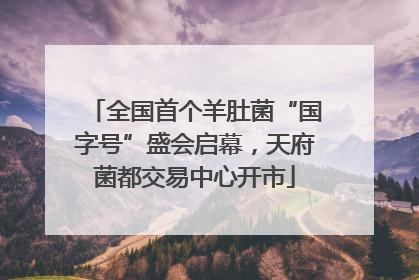 全国首个羊肚菌“国字号”盛会启幕，天府菌都交易中心开市