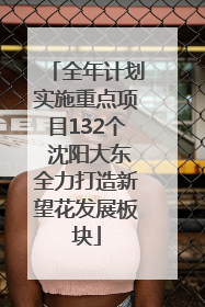全年计划实施重点项目132个 沈阳大东全力打造新望花发展板块
