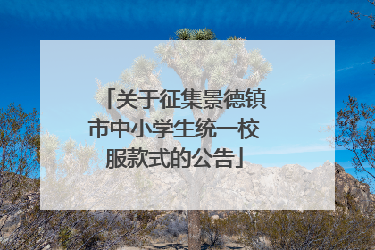 关于征集景德镇市中小学生统一校服款式的公告