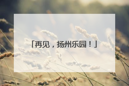 再见，扬州乐园！