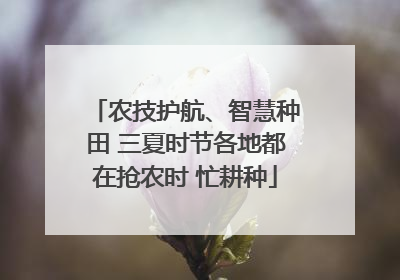 农技护航、智慧种田 三夏时节各地都在抢农时 忙耕种