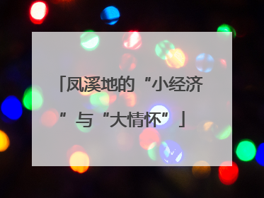 凤溪地的“小经济”与“大情怀”