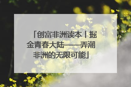 创富非洲读本丨掘金青春大陆——弄潮非洲的无限可能