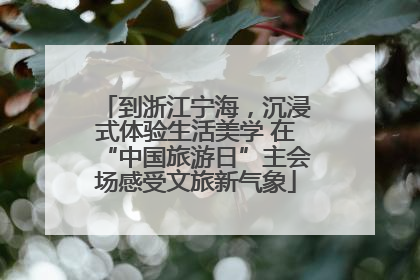 到浙江宁海，沉浸式体验生活美学 在“中国旅游日”主会场感受文旅新气象