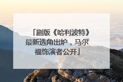 剧版《哈利波特》最新选角出炉，马尔福饰演者公开