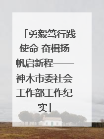 勇毅笃行践使命 奋楫扬帆启新程——神木市委社会工作部工作纪实