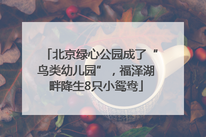 北京绿心公园成了“鸟类幼儿园”，福泽湖畔降生8只小鸳鸯